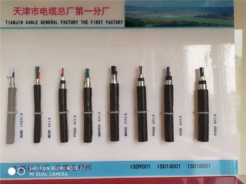 浙江嘉兴市mkvv2 0.5天联光纤电缆生产厂家